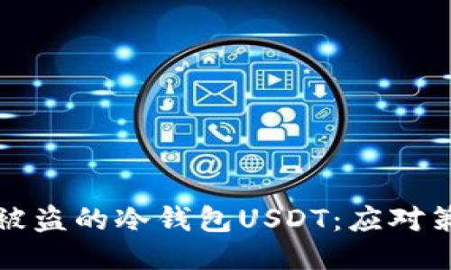 如何追回被盗的冷钱包USDT：应对策略与指导