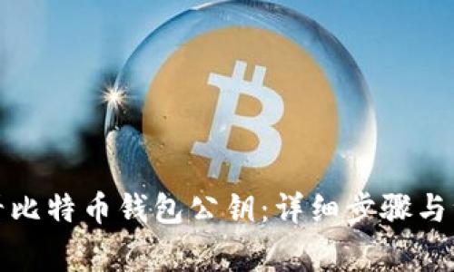 如何查看比特币钱包公钥：详细步骤与注意事项