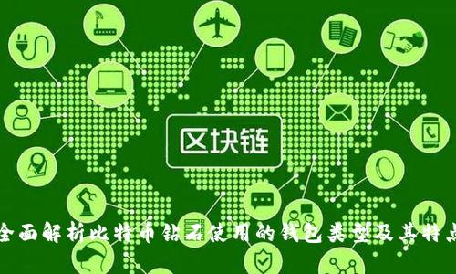 全面解析比特币钻石使用的钱包类型及其特点