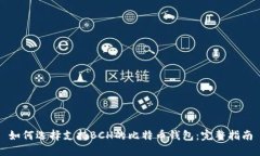 如何选择支持BCH的比特币钱包：完整指南