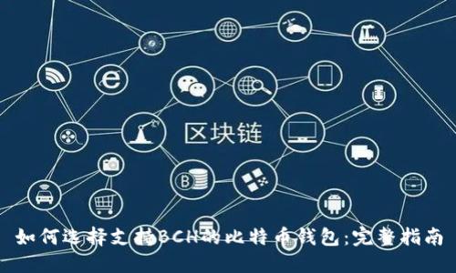 如何选择支持BCH的比特币钱包：完整指南