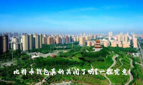 比特币钱包真的关闭了吗？一探究竟！