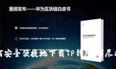 如何安全便捷地下载TP钱包：详尽指南