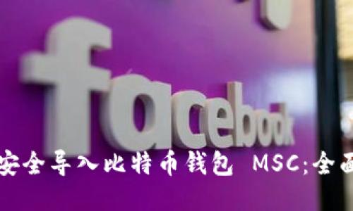 如何安全导入比特币钱包 MSC：全面指南