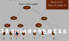2017年最佳iOS比特币钱包推荐及使用指南
