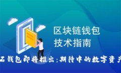 比特币砖石钱包即将推出：期待中的数字资产管