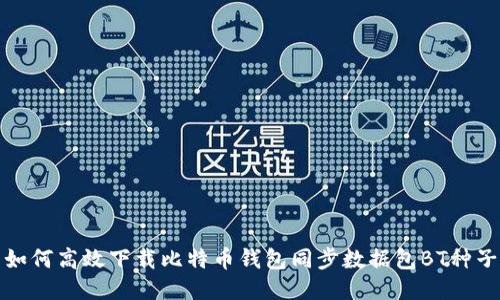 如何高效下载比特币钱包同步数据包BT种子