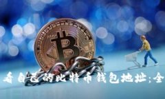 如何查看自己的比特币钱包地址：全面指南