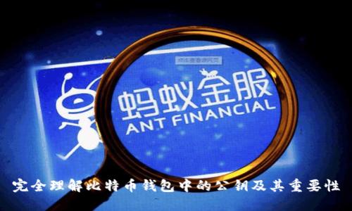 完全理解比特币钱包中的公钥及其重要性