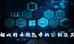 完全理解比特币钱包中的公钥及其重要性