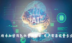: 比特币加密钱包的费用解析：用户需要花费多少