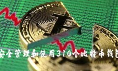 如何安全管理和使用310个比特币钱包私钥