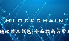 火币USDT转比特儿钱包：全面指南与常见问题解答
