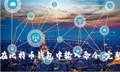 如何在比特币钱包中输入命令：完整指南
