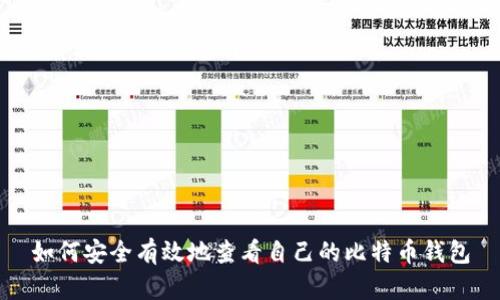 如何安全有效地查看自己的比特币钱包