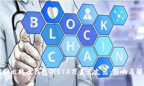 揭秘比特币钱包的570万美元支出：影响与解析