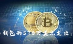 揭秘比特币钱包的570万美元支出：影响与解析