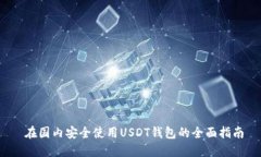  在国内安全使用USDT钱包的全面指南