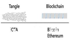 探讨比特币现金轻钱包：安全、便利与使用指南