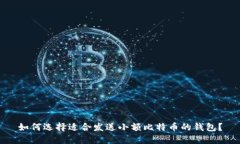 如何选择适合发送小额比特币的钱包？