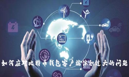如何应对比特币钱包客户端体积过大的问题