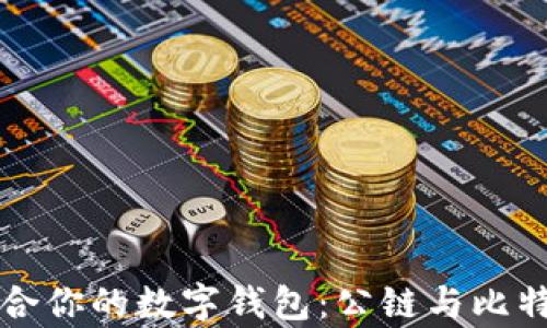 
如何选择最适合你的数字钱包：公链与比特币的全面解析
