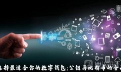如何选择最适合你的数字钱包：公链与比特币的