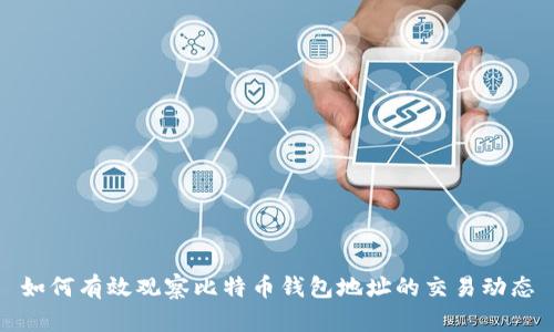 如何有效观察比特币钱包地址的交易动态