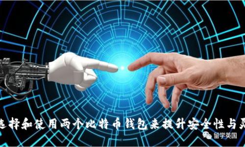 如何选择和使用两个比特币钱包来提升安全性与灵活性