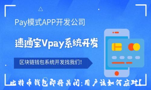  
比特币钱包即将关闭：用户该如何应对？