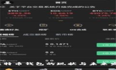  比特币钱包的现状与未来发展