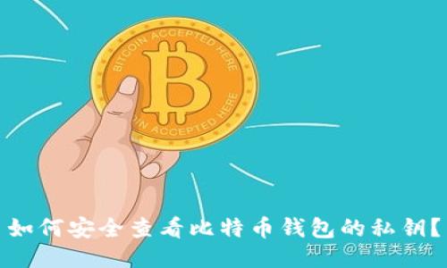 如何安全查看比特币钱包的私钥？