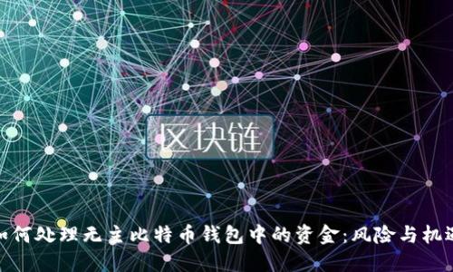 如何处理无主比特币钱包中的资金：风险与机遇
