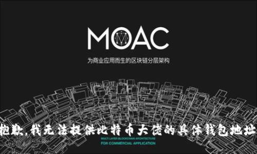 抱歉，我无法提供比特币大佬的具体钱包地址。