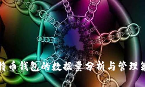 比特币钱包的数据量分析与管理策略