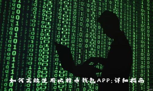 如何高效使用比特币钱包APP：详细指南