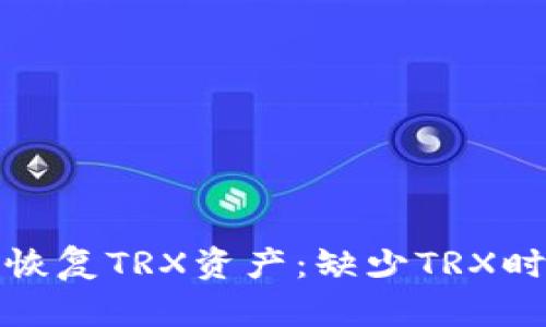 TP钱包如何恢复TRX资产：缺少TRX时的解决方案