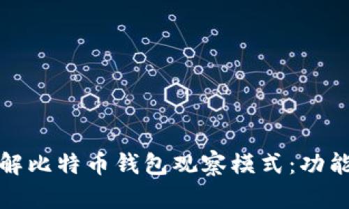 深入了解比特币钱包观察模式：功能与风险