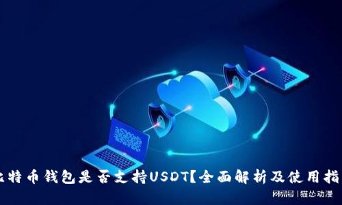 比特币钱包是否支持USDT？全面解析及使用指导