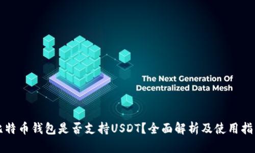 比特币钱包是否支持USDT？全面解析及使用指导
