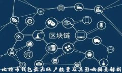 比特币钱包最大账户数量及其影响因素解析