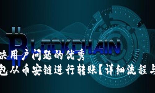 思考一个能解决用户问题的优秀  
如何使用TP钱包从币安链进行转账？详细流程与常见问题解析