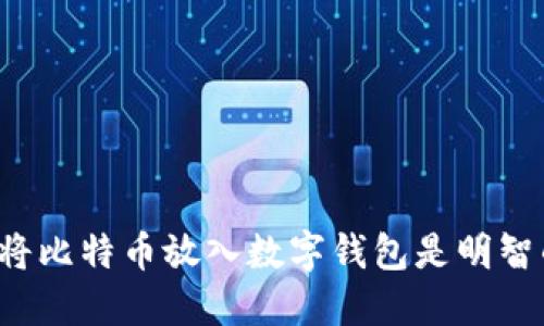 为什么将比特币放入数字钱包是明智的选择？